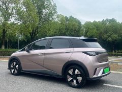 BYD Dolphin 401km Knight Edition - ფოტო 4