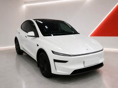 Tesla Model Y Rear-Wheel Drive - ფოტო 3