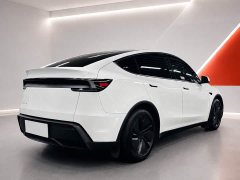 Tesla Model Y Rear-Wheel Drive - ფოტო 7