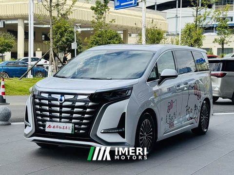 2025 Denza BYD Denza D9 2024 DM-i 980 Four-Wheel Drive Premium - ავტომობილი ჩინეთიდან
