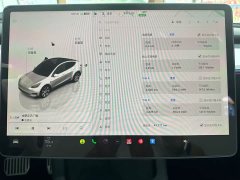 Tesla Model Y Facelift Rear-Wheel Drive - ფოტო 13