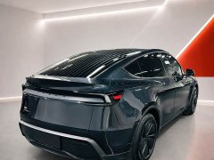Tesla Model Y Rear-Wheel Drive - ფოტო 9