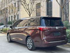 Buick GL8 ES Land Respect 653T Luxury - ფოტო 11