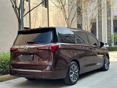Buick GL8 ES Land Respect 653T Luxury - ფოტო 9