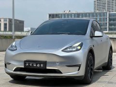 Tesla Model Y Standard Range RWD - ფოტო 1
