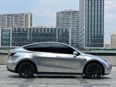 Tesla Model Y Standard Range RWD - ფოტო 8