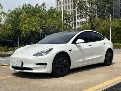 Tesla Model 3 Rear-Wheel Drive - ფოტო 1