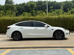 Tesla Model 3 Rear-Wheel Drive - ფოტო 16
