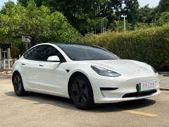 Tesla Model 3 Rear-Wheel Drive - ფოტო 3
