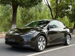 Tesla Model Y Rear-Wheel Drive - ფოტო 1
