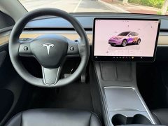 Tesla Model Y Rear-Wheel Drive - ფოტო 14