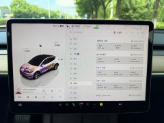 Tesla Model Y Rear-Wheel Drive - ფოტო 16