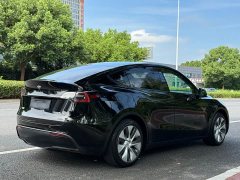 Tesla Model Y Rear-Wheel Drive - ფოტო 5