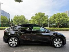 Tesla Model Y Rear-Wheel Drive - ფოტო 6
