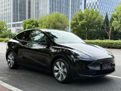 Tesla Model Y Rear-Wheel Drive - ფოტო 7