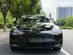 Tesla Model Y Rear-Wheel Drive - ფოტო 8