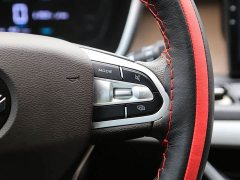 BYD Maple 80V 2021 Youxing Edition NCM - ფოტო 10