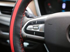 BYD Maple 80V 2021 Youxing Edition NCM - ფოტო 9