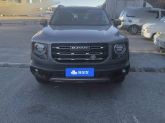 Great Wall Dachshund 2022 1.5T DCT Two-Wheel Drive Border Collie Edition - ფოტო 2