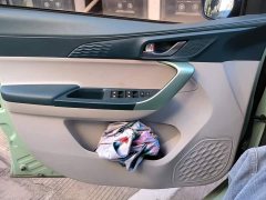 Changan Benben E-Star Shangxin Edition Multi-Color LFP Battery - ფოტო 7
