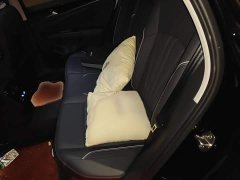 Volkswagen Passat 280TSI Starry Sky Elite - ფოტო 13