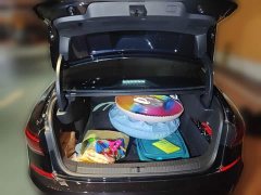 Volkswagen Passat 280TSI Starry Sky Elite - ფოტო 15