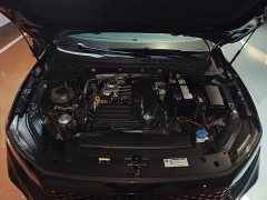 Volkswagen Passat 280TSI Starry Sky Elite - ფოტო 16