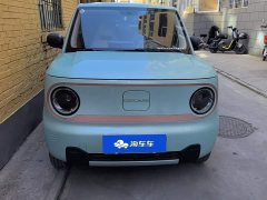 Geely Panda Mini 200km Endurance Edition - ფოტო 2