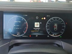 Tank 300 Off-Road Edition 2.0T Conqueror - ფოტო 14