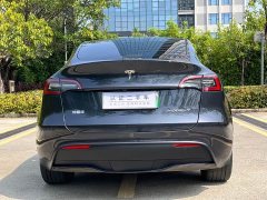 Tesla Model Y Rear-Wheel Drive - ფოტო 10