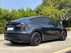 Tesla Model Y Rear-Wheel Drive - ფოტო 11