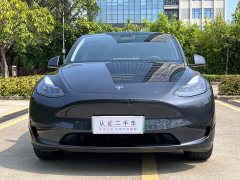 Tesla Model Y Rear-Wheel Drive - ფოტო 2