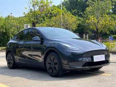 Tesla Model Y Rear-Wheel Drive - ფოტო 3