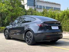 Tesla Model Y Rear-Wheel Drive - ფოტო 9
