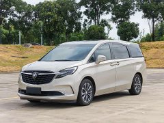 Buick GL8 ES Land Respect 653T Luxury - ფოტო 1