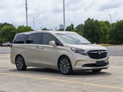 Buick GL8 ES Land Respect 653T Luxury - ფოტო 3