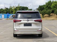 Buick GL8 ES Land Respect 653T Luxury - ფოტო 6
