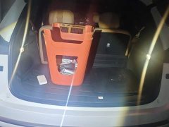 Nio Lerado L90 2025 Max Six-Seater - ფოტო 4