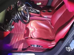 Porsche 2019 Panamera Executive Extended Wheelbase 2.9T - ფოტო 9