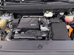 BYD Song Pro New Energy Champion Edition DM-i 110KM Excellence - ფოტო 10