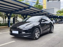 Tesla Model Y Long Range All-Wheel Drive - photo 1