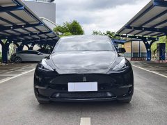 Tesla Model Y Long Range All-Wheel Drive - photo 2