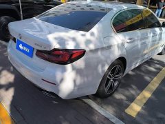 BMW 5 Series 530Li Premier Luxury Package - ფოტო 3