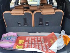BYD Yuan Plus DM-i 2023 Champion Edition 112KM Deluxe - ფოტო 4