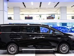 Great Wall WEY Shanshan New Energy Four-Wheel Drive Shanshan 8 - ფოტო 5