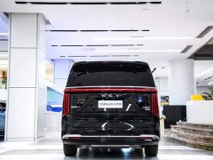 Great Wall WEY Shanshan New Energy Four-Wheel Drive Shanshan 8 - ფოტო 7