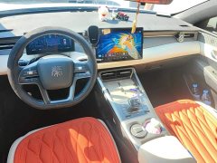 BYD Qin PLUS EV Smart Drive 420KM Leading Edition - ფოტო 12