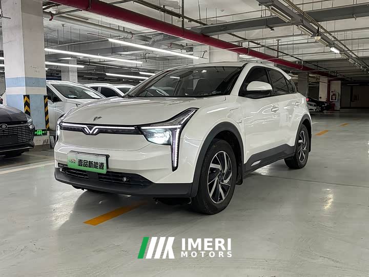 Neta U Facelift Pro 400 Industry Custom Edition