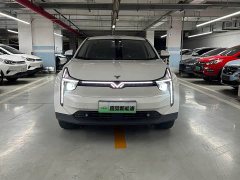 Neta U 2021 Facelift Pro 400 Industry Custom Edition - ფოტო 2