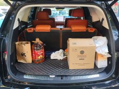 Great Wall WEY Blue Mountain Four-Wheel Drive Max - ფოტო 3
